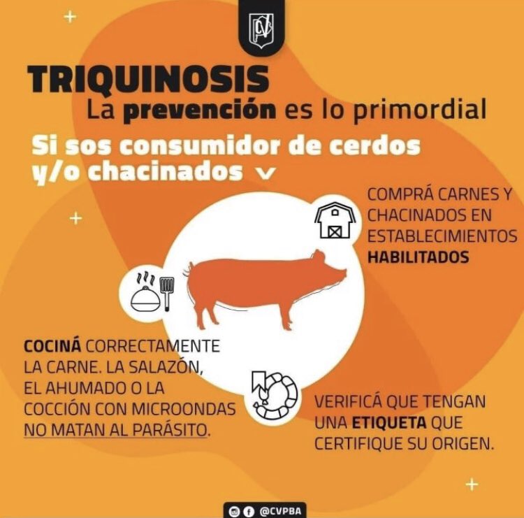 LernerPierini's tweet photo. TRIQUINOSIS

Prevención 👇🏻👇🏻👇🏻 https://t.co/2NWtrJdiAA