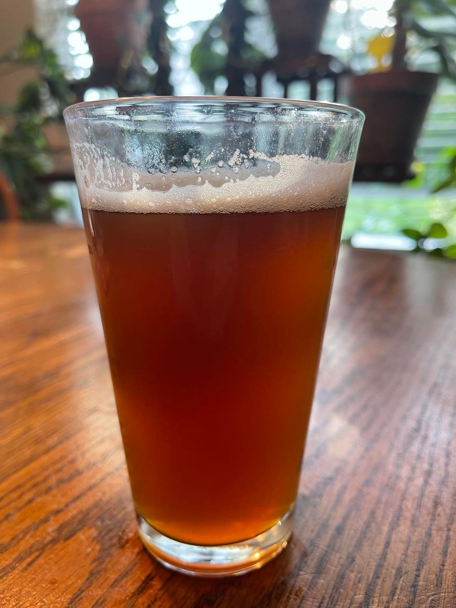 BrewingDaddy's tweet photo. Northern Brewer's Dead Ringer IPA 1 Gallon Beer Recipe

#northernbrewer #smallbatchbrewing #craftbeer #homebrewing #beermaking #deadringeripa #brewingbeer https://t.co/ywrFcoirB1