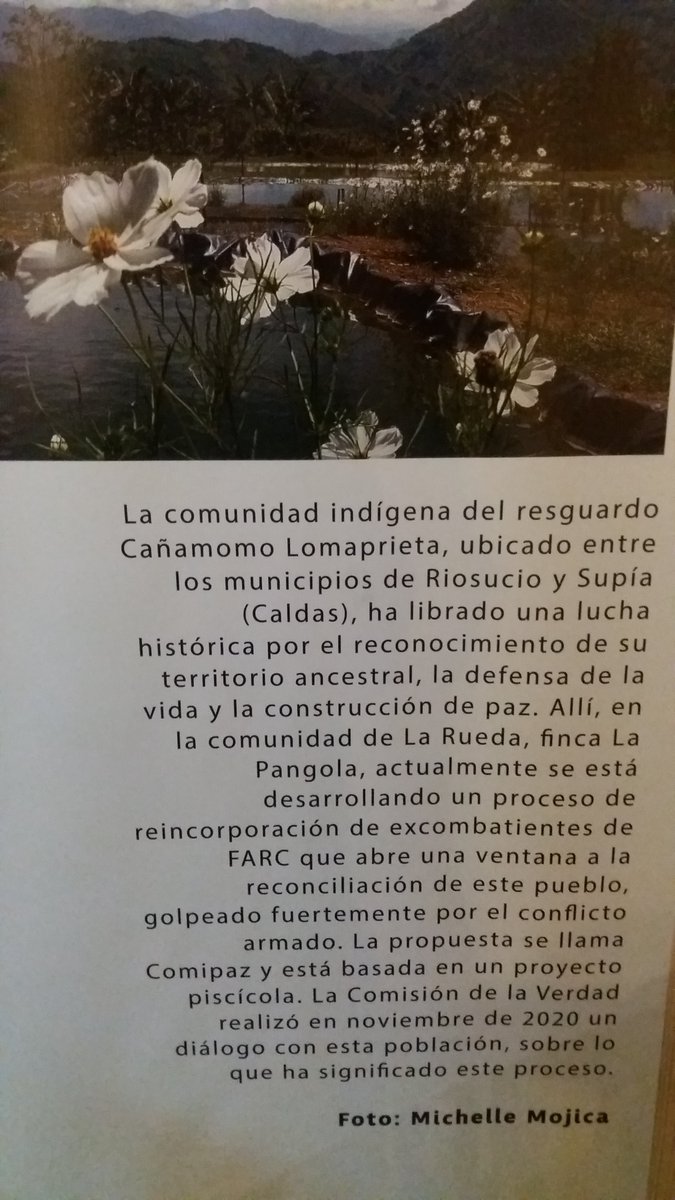 UbuntuPaz's tweet photo. #Memoria
"La verdad te hará libre, pero primero te hará emputar"
Estuvimos en la ciudad de #Pereira, en el lanzamiento de #ElBaúlDeLaEsperanza, como parte del #Legado de la @ComisionVerdadC, como parte de las historias del #ConflictoArmado en el #EjeCafetero. https://t.co/3oVKTZZdia