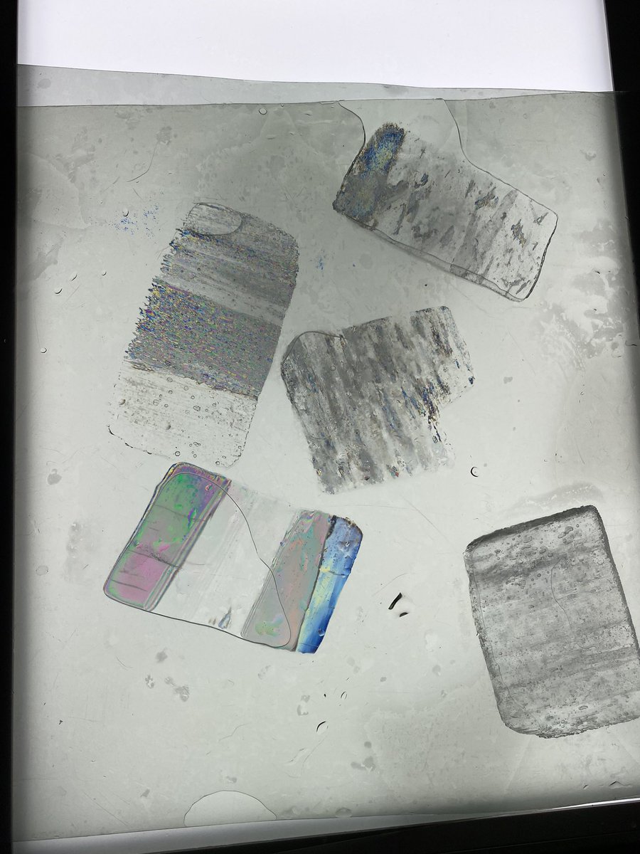 Nadjejda Espinel tweet media