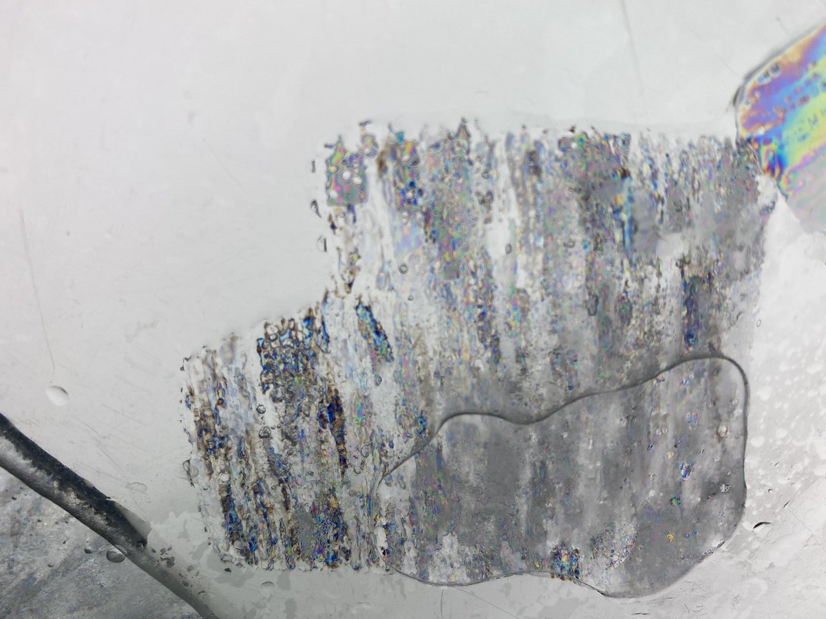 Nadjejda Espinel tweet media