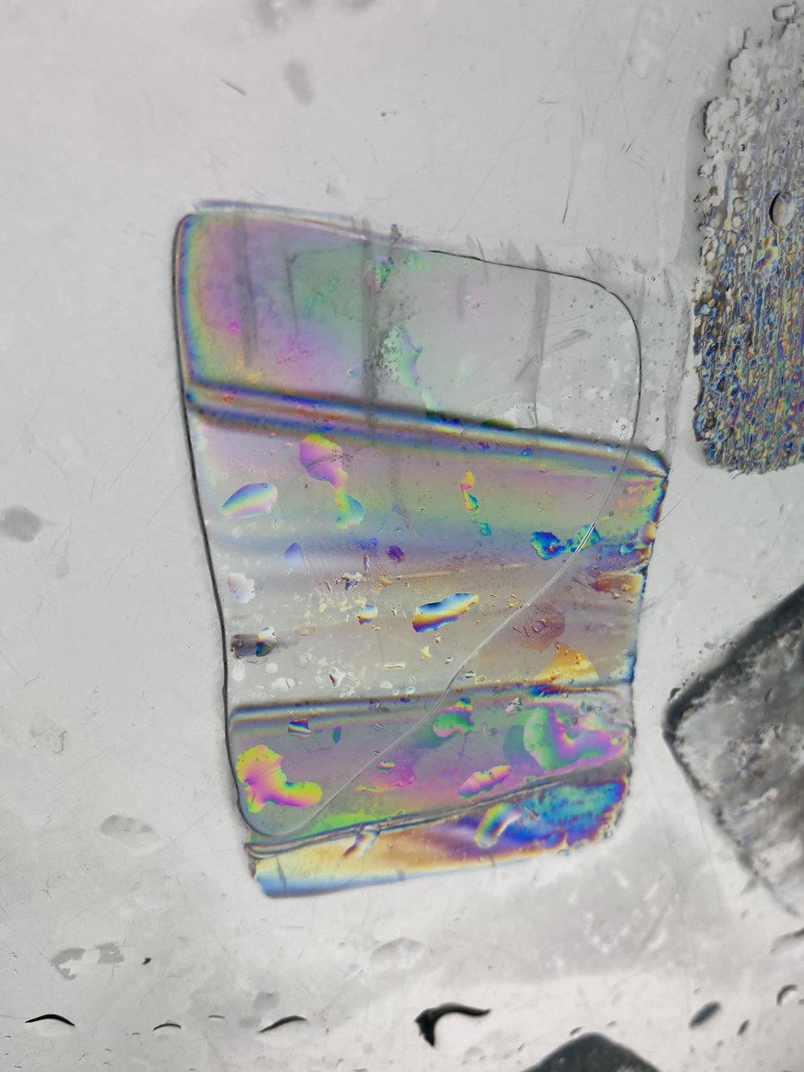 Nadjejda Espinel tweet media