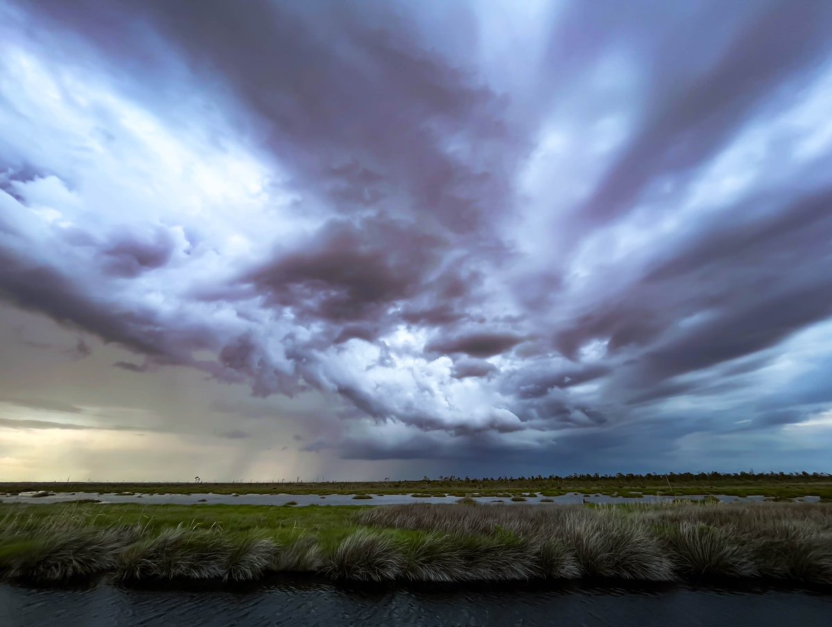 smkanderson's tweet photo. Maybe the #AlbemarlePamlico #NC didn’t want me back in her swamps today? Fun and exciting helping @aeran_coughlin collect samples & data from #coastal #wetlands. #ghostforests #springstorm #AlligatorRiverNationalWildlifeRefuge https://t.co/CRj0v1LB4L