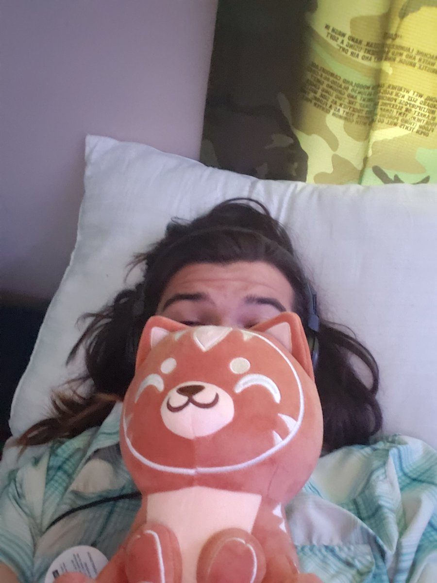 Staneyboy's tweet photo. @jschlatt after five months my Jamboree Plush FINALLY came in https://t.co/DYK6X20RLr