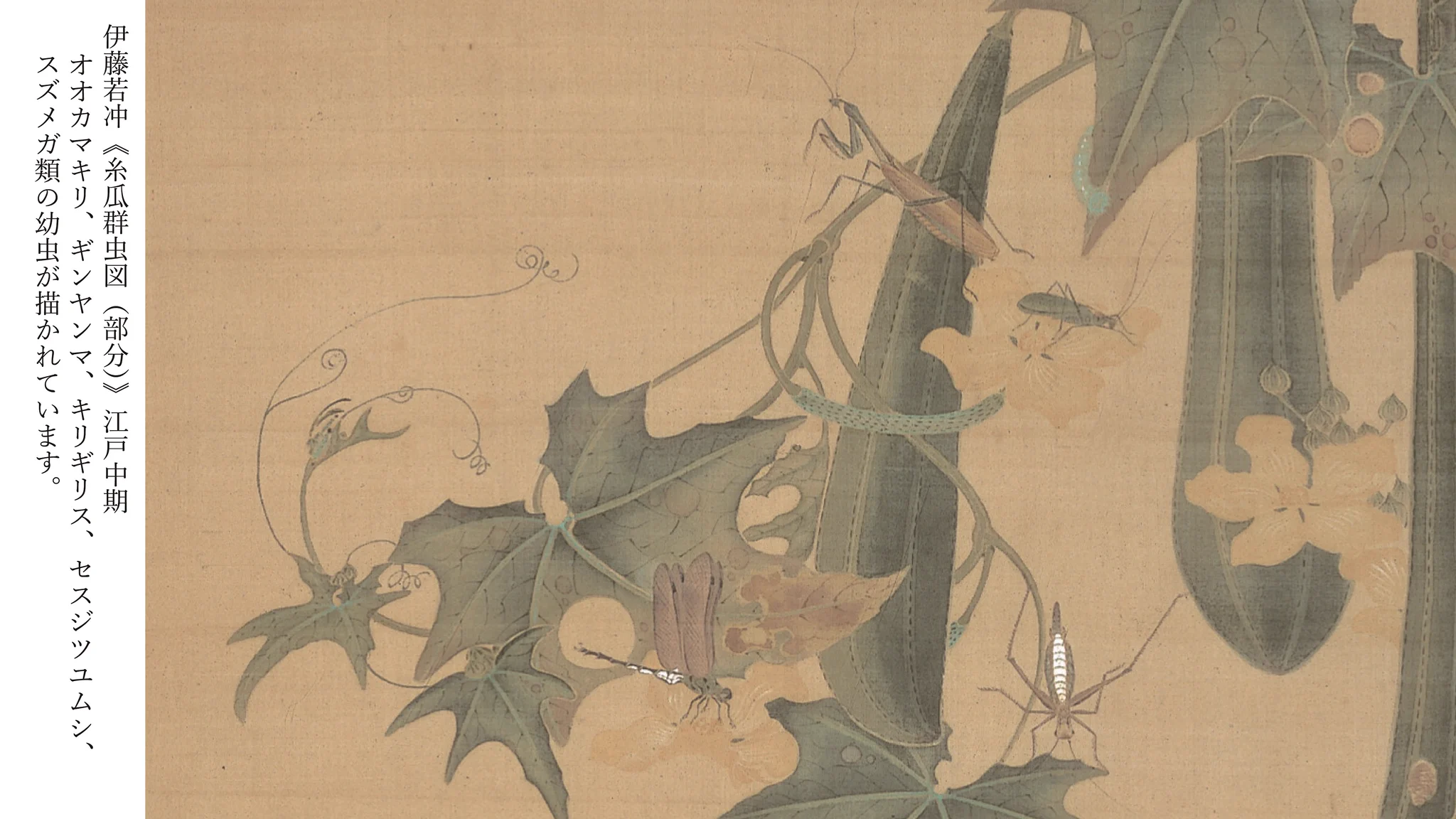 茨城県近代美術館 on X: 