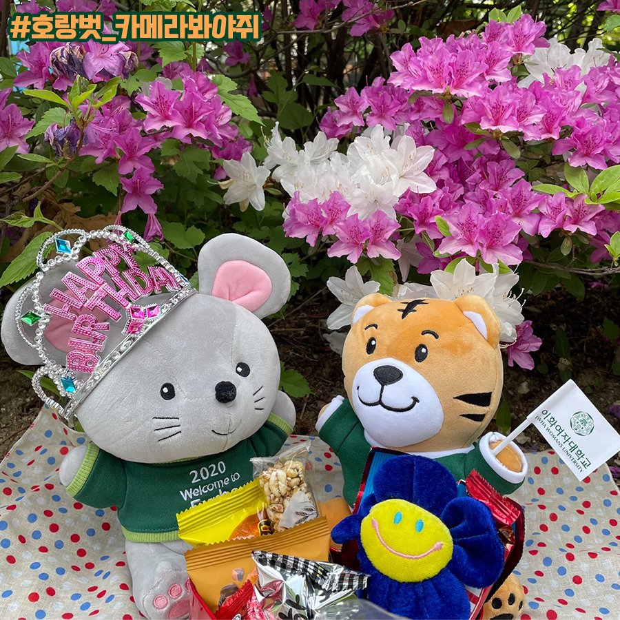 [With pear blossoms] #Picnic_exploration_completed - Did you know that you can enjoy picnics on campus? Please share your secret picnic spot where you can chat and take pictures with friends! (students of 🐭 doesn't know well) #PearFlowersFly #EwhaExplorationCompleted #EwhaCampus 이미지