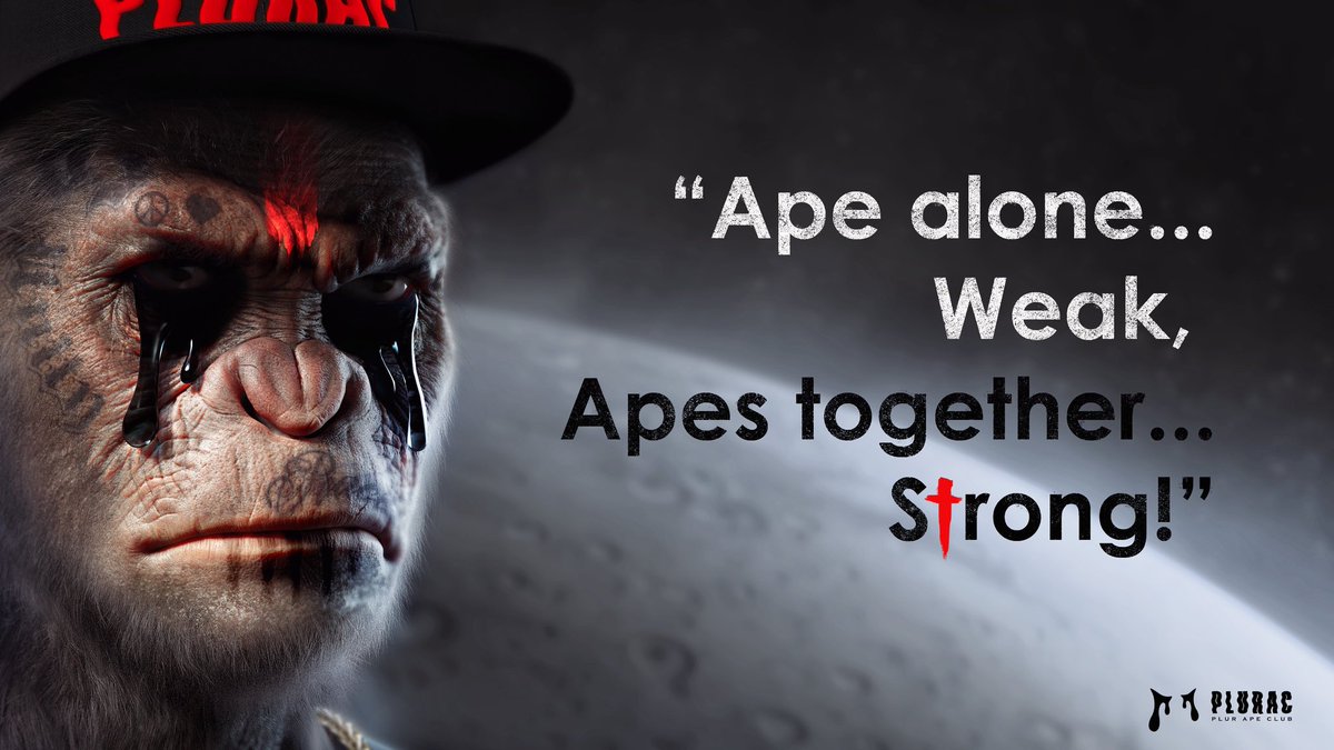 摸金校尉 | 0xBclub | 🔶 BNB tweet media