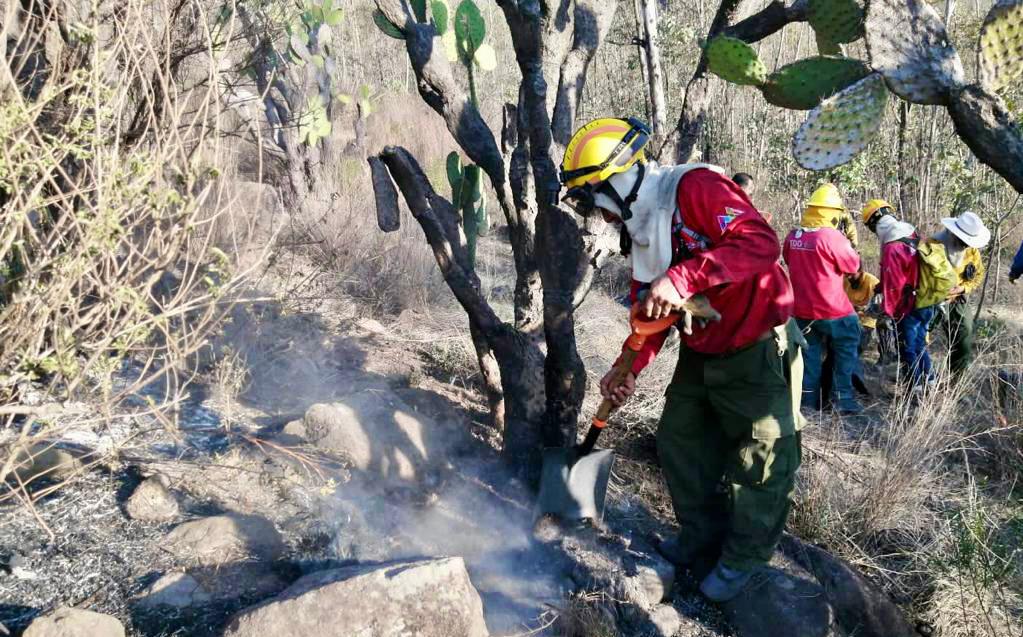 AmbienteEdomex's tweet photo. #ÚltimaHora: Se reporta incendio controlado a cargo de brigadas de la @GN_MEXICO_, la #CGCE de la #SMAGEM, @Probosque_, Protección Civil y Bomberos de #Coacalco y #Tultitlán y voluntarios, en el paraje “María Auxiliadora” del #ParqueEstatalSierraDeGuadalupe. https://t.co/rHQVO7Zrua