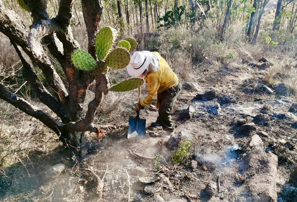 AmbienteEdomex's tweet photo. #ÚltimaHora: Se reporta incendio controlado a cargo de brigadas de la @GN_MEXICO_, la #CGCE de la #SMAGEM, @Probosque_, Protección Civil y Bomberos de #Coacalco y #Tultitlán y voluntarios, en el paraje “María Auxiliadora” del #ParqueEstatalSierraDeGuadalupe. https://t.co/rHQVO7Zrua