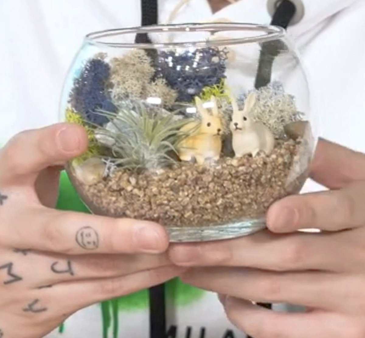 dionyxxsustkx's tweet photo. Jungkook: the bunnies are actually me and v hyung https://t.co/kNdbqqSWQ5