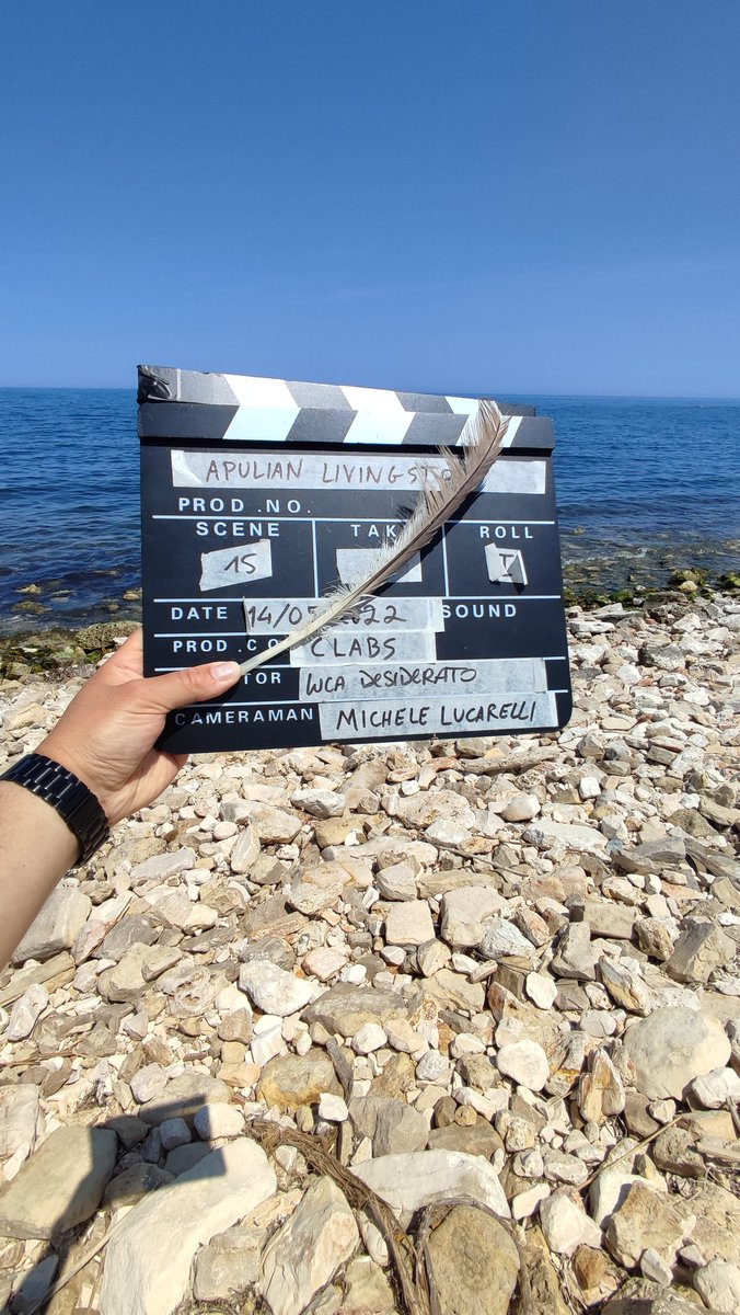 Stiamo girando il nuovo progetto "Apulian Livingston": mare e gabbiani! #gabbiano #Mare #Puglia #weareinpiglua