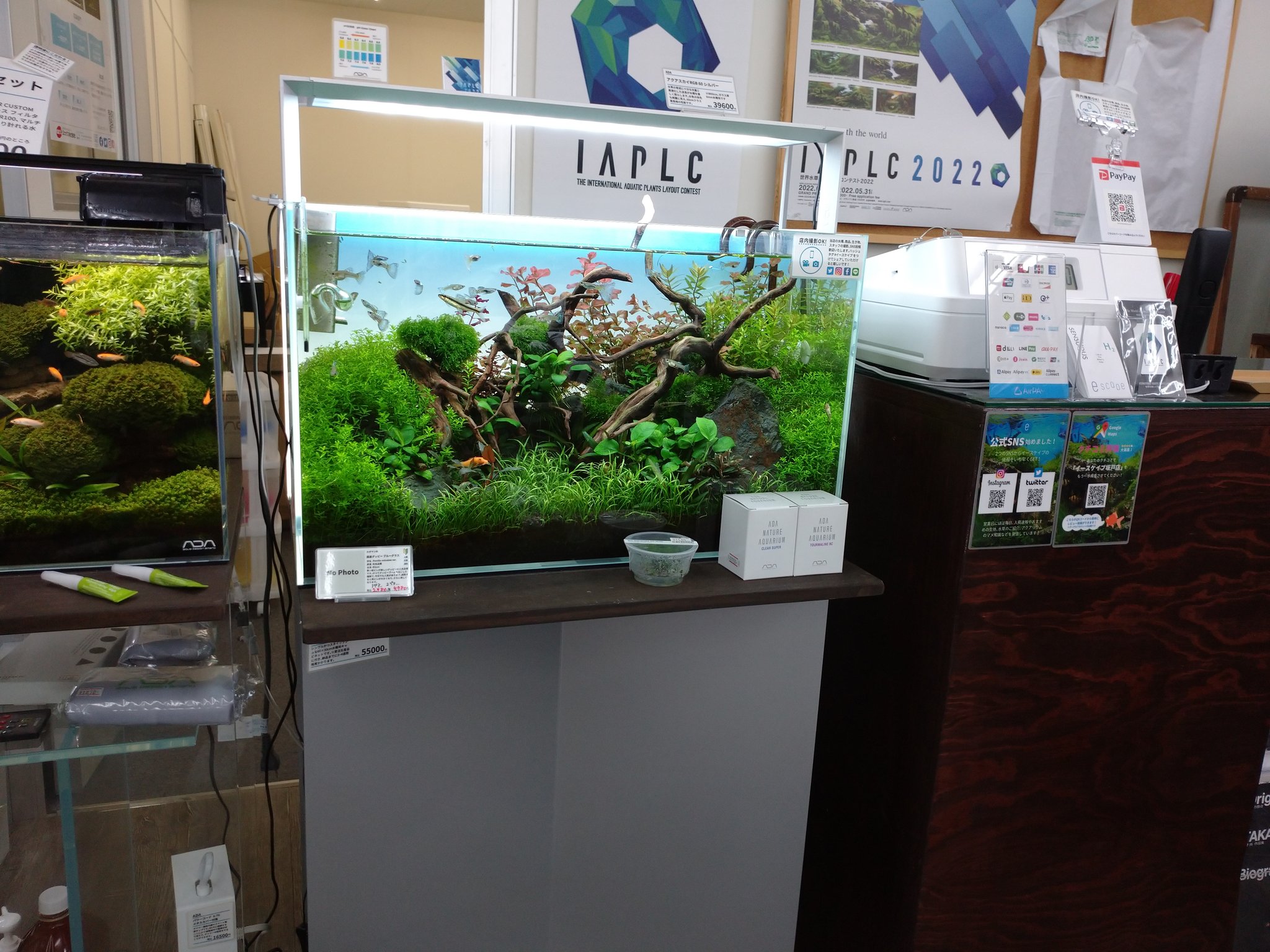 E Scape ご希望にお答えしてadaライトスクリーン90 45を在庫することにしました 背面から照らすバックライトはお洒落な演出に欠かせないですね 水槽は写真に撮るのが難しいですがこちらを使えば一気に 映える 写真が撮れますよ 60cm用もありますので
