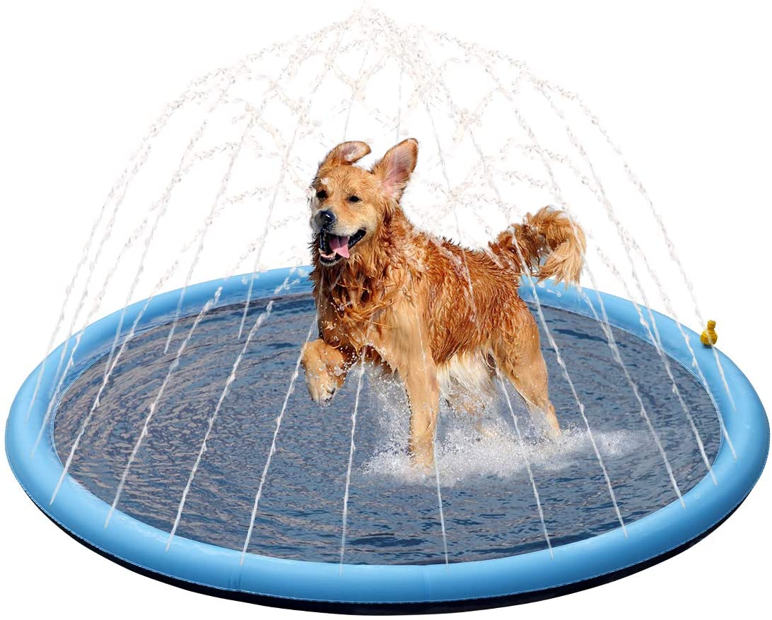 techgadgetsmith's tweet image. Pet Soft Splash Sprinkler Pad

Thickened Dog Splash Sprinkler Pad for Puppies Durable Pet Swimming Bathtub Pool, Summer Fun Water Toys for Dogs

amzn.to/37Wrbcc

#water