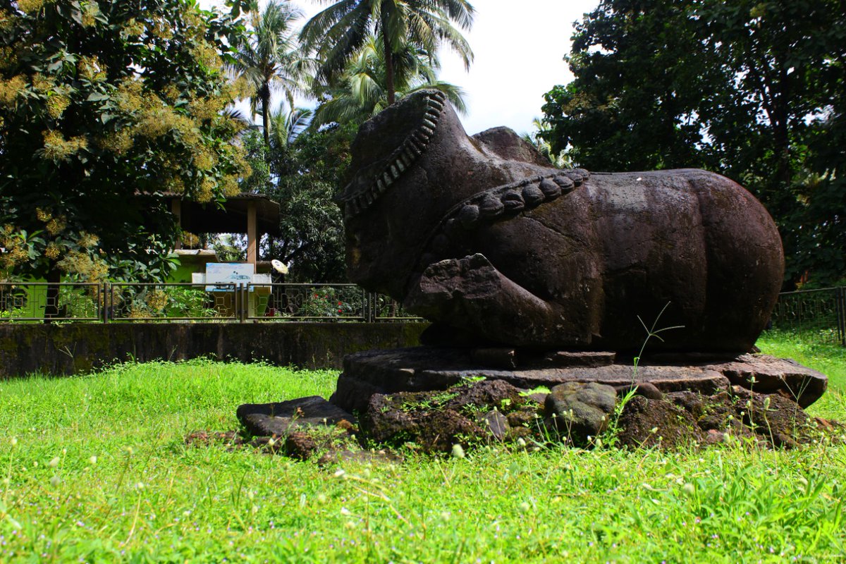 sawanishetye's tweet photo. Nandi Ji in endless pratiksha at the ruins of Eshwar Temple, Chandrapur in Goa.(NowChandor) this village was the capital seat of Bhoja and Kadamba kings. 

There are mentions of Khilji's army plundering d temple.Later destroyed to pieces by the Portuguese missionaries.

#Goa https://t.co/B82QZzd5dm