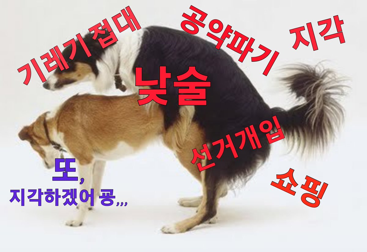 Yundoli18's tweet photo. "이게 나라야?
개똥령 출퇴근 논쟁,,
개똥령 주말쇼핑 논쟁,,
개똥령 가짜 공약 논쟁,,
개똥령 기레기 접대 논쟁,,
개똥령 강용석 선거개입 논쟁,,
개똥령 낮술 처마시자는 논쟁,,
어~이, 야 씨뎅아~
이런게 개똥령이면, 쥴리 담당웨이터도 개똥령 하겠다! https://t.co/kujNOnt6PB