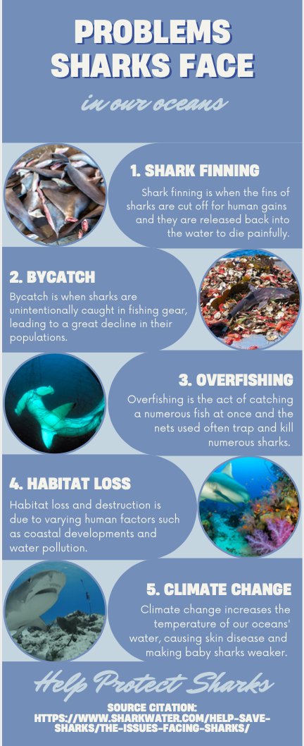 pallavi_rajeev's tweet photo. #39canimals Here is my infographic! https://t.co/AwGFlqjEwK