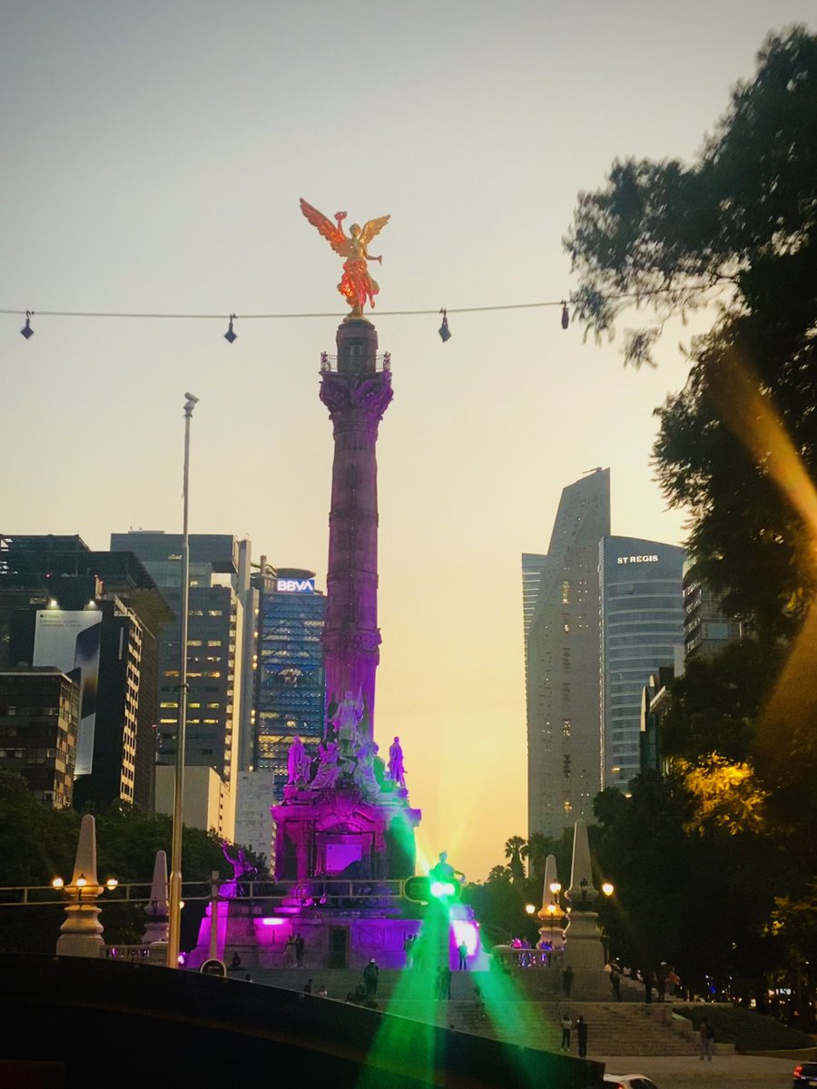 astriidBB's tweet photo. Soy muy buena fotógrafa...📸💕#tourcdmx #lunes https://t.co/ihhCPvnOud