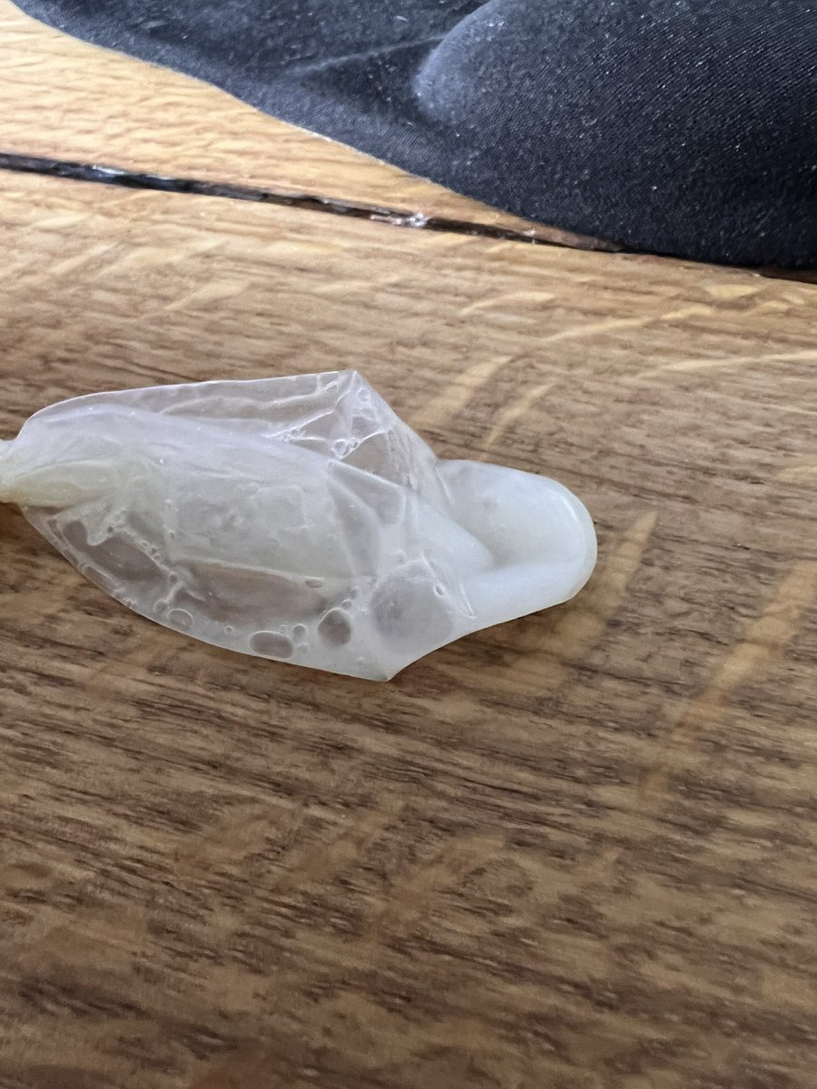 103 Tage für den kleinen Keuschling und am Donnerstag den großen Tag! Ein paar Kondome sind schon zusammen gekommen ..... mal sehen ob er sie alle schön Aussaugen kann❤️