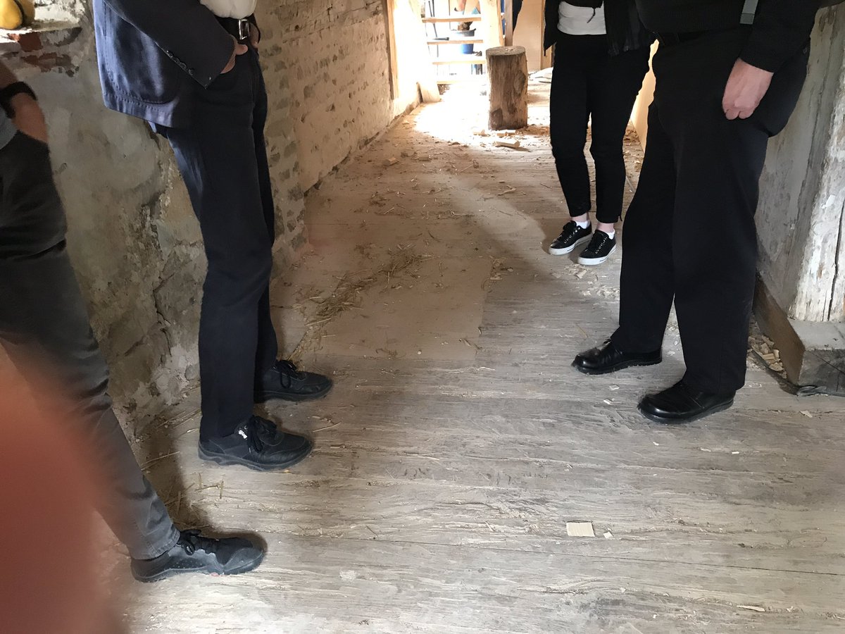 Daniela F Eisenstein tweet media