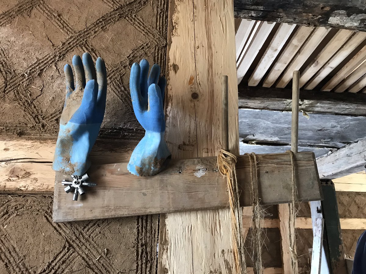 Daniela F Eisenstein tweet media