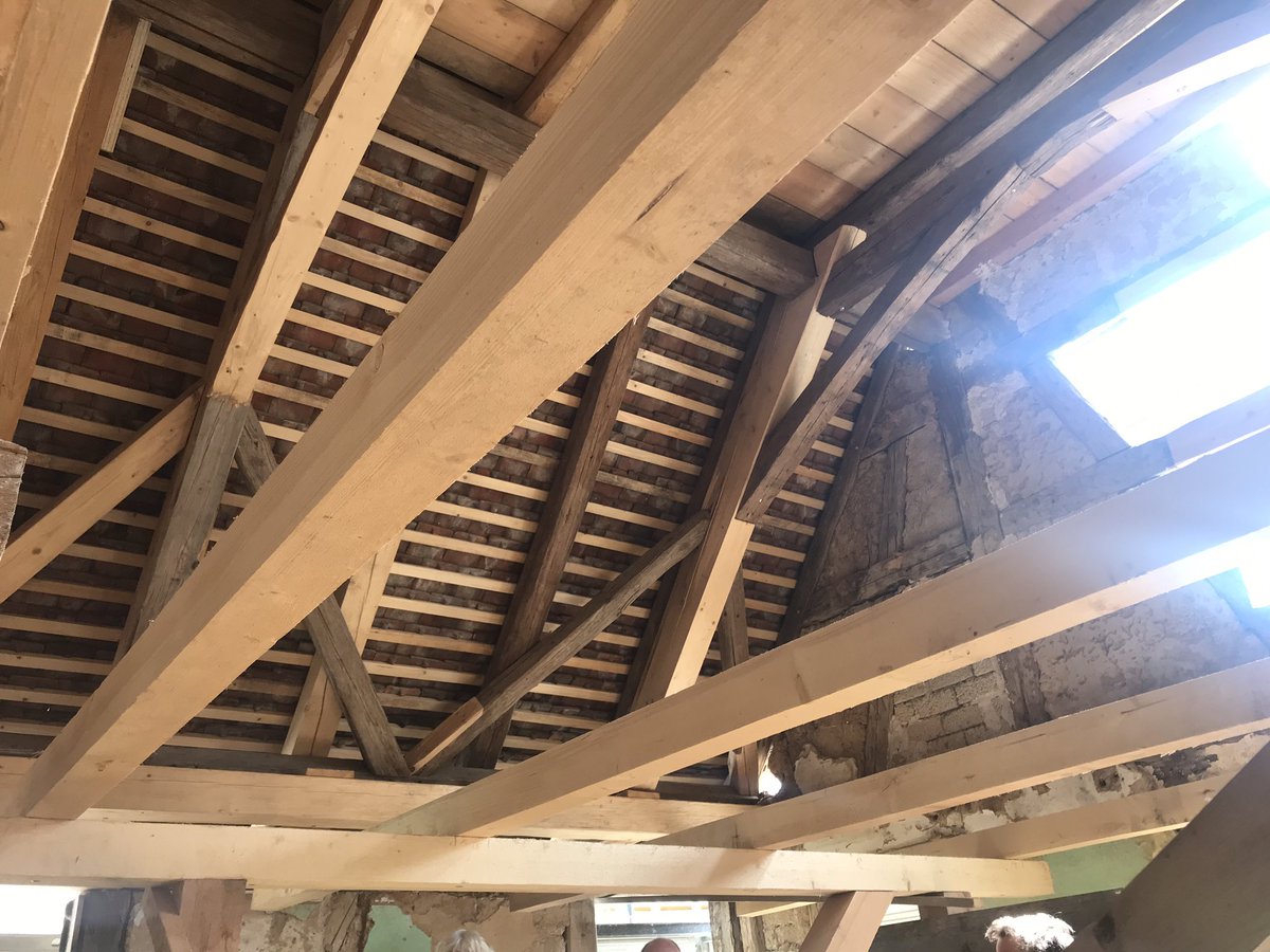 Daniela F Eisenstein tweet media