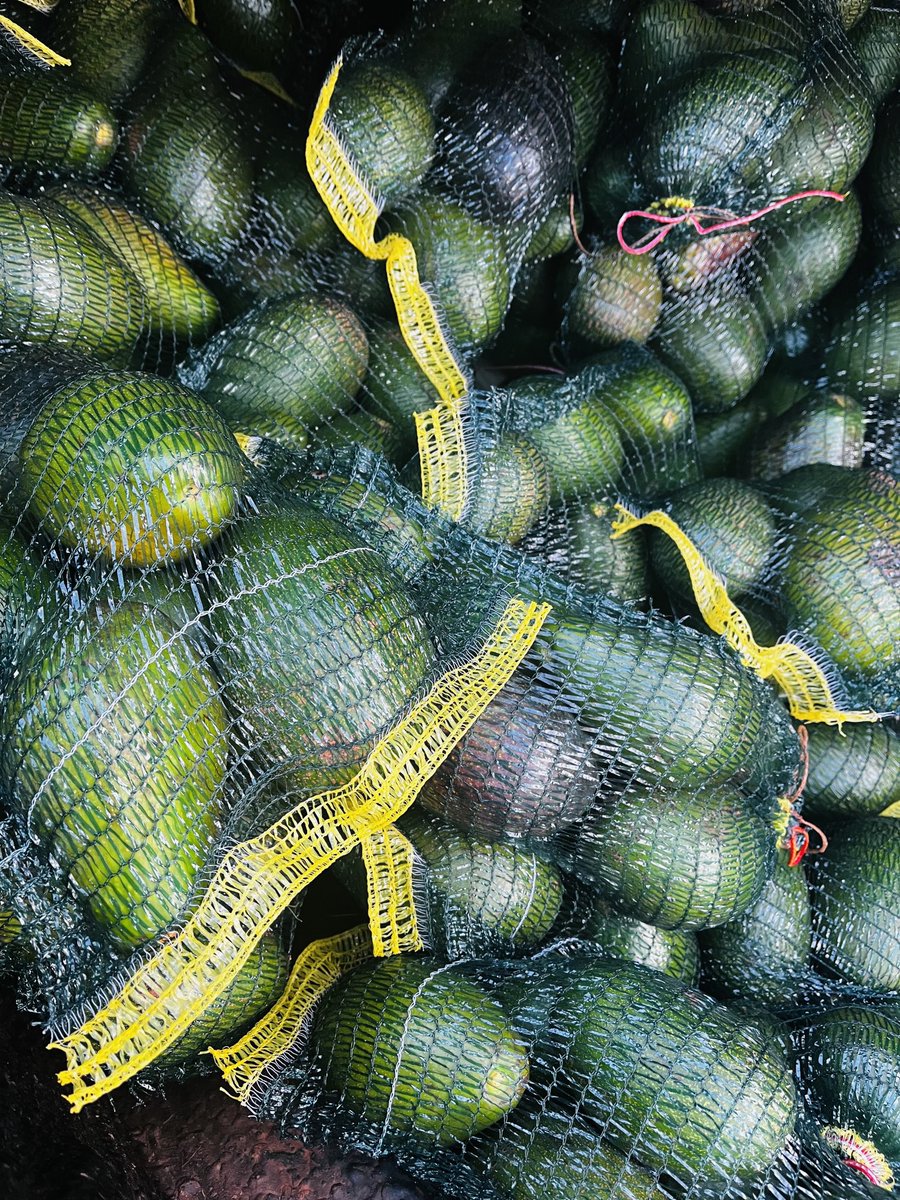 Good morning! Today I’ll be doing deliveries around centurion and midrand ! R50 Avos ! Our delivery fee is r10