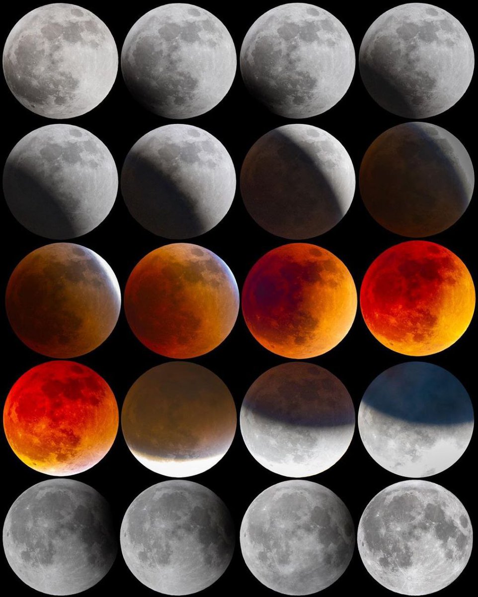 astrophotosnap's tweet photo. Blood Moon Phases 🩸🌕 https://t.co/ZjDWxvLaKy
