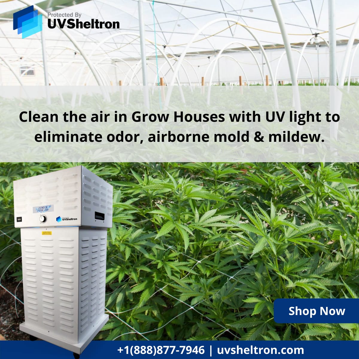 sheltroninc's tweet photo. #UVSheltron has the right solution for your Grow House!!
Clean the air in Grow Houses with UV light to eliminate odor, airborne mold &amp; mildew.

https://t.co/mgEa4U3EB2

#agriculture #cannabis #ultraviolet #disinfection #uvsheltronpureair #airpurification #pureair500 #pureair200 https://t.co/DOteAWcVjz