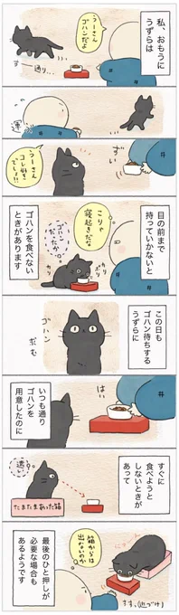 猫のご飯タイムには、給仕のひと手間が必要不可欠【連載】ねこ連れ草 227話め|ねこのきもちWEB MAGAZINE https://t.co/Acs2l2hepc 