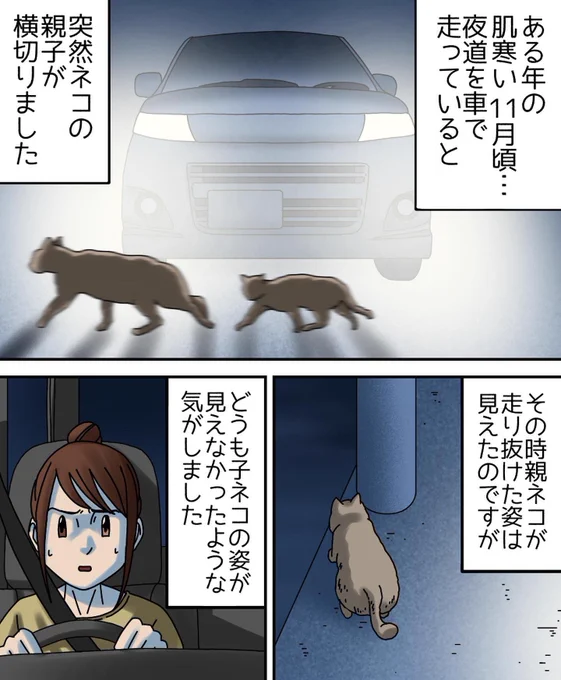 フォロワーさんの体験談【私が出会った素敵なひと】1/3 
