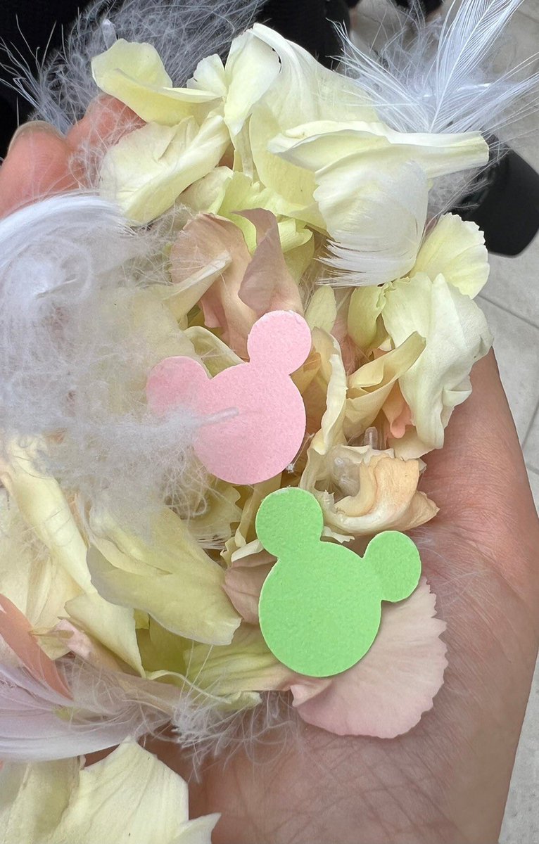 micmicmicmit's tweet photo. 無事結婚式をあげることが出来ました💍
楽しかったー夢のような時間だった…
ミキヲタらしい式になったと思います🐭 https://t.co/BLK1vJidAf