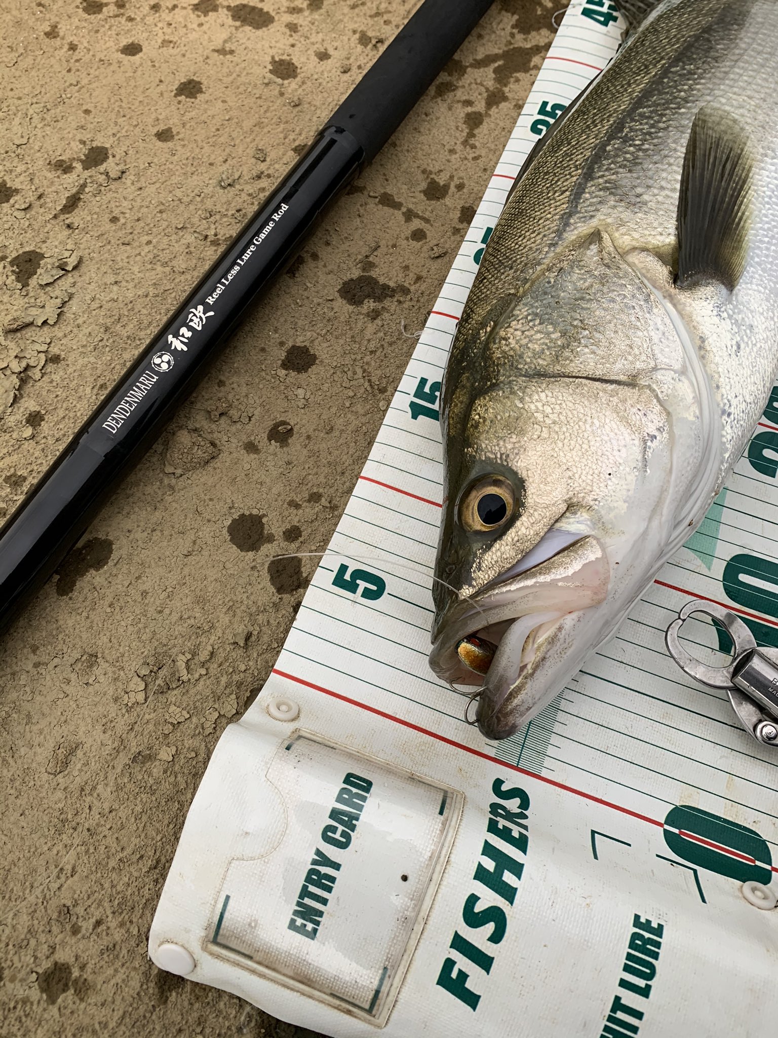 井坪の坊 釣りもするので気が向いたら魚ネタもアップする予定 変なリールとか延べ竿にルアー結んでシーバス狙ったり 延べ竿に ワームでアジングしたり 短っけベイトタックルでシイラ釣ったりしてます シーバス リスぐるま 延べ竿シーバス 延べ竿