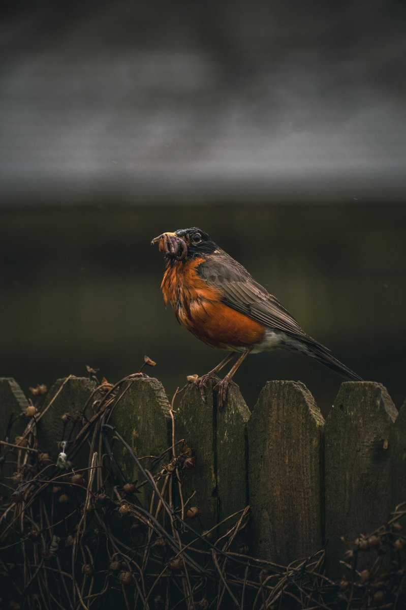 That_Atomz's tweet photo. @moment https://t.co/ehZnEQE0MI
