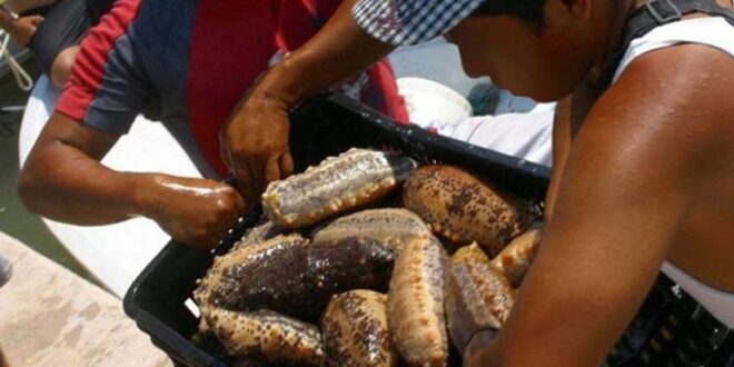 Cube Quebec / Oceatec tweet media