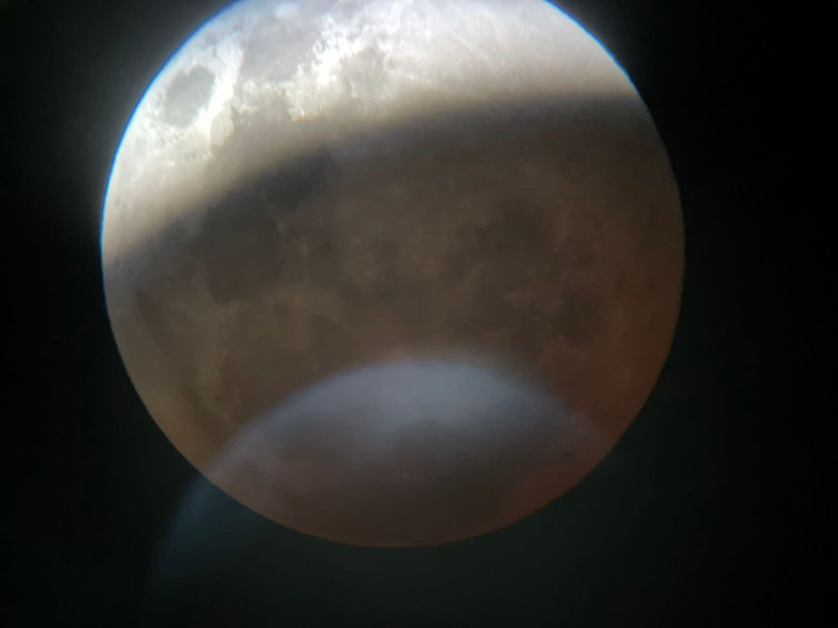 Míriam Leitão tweet media