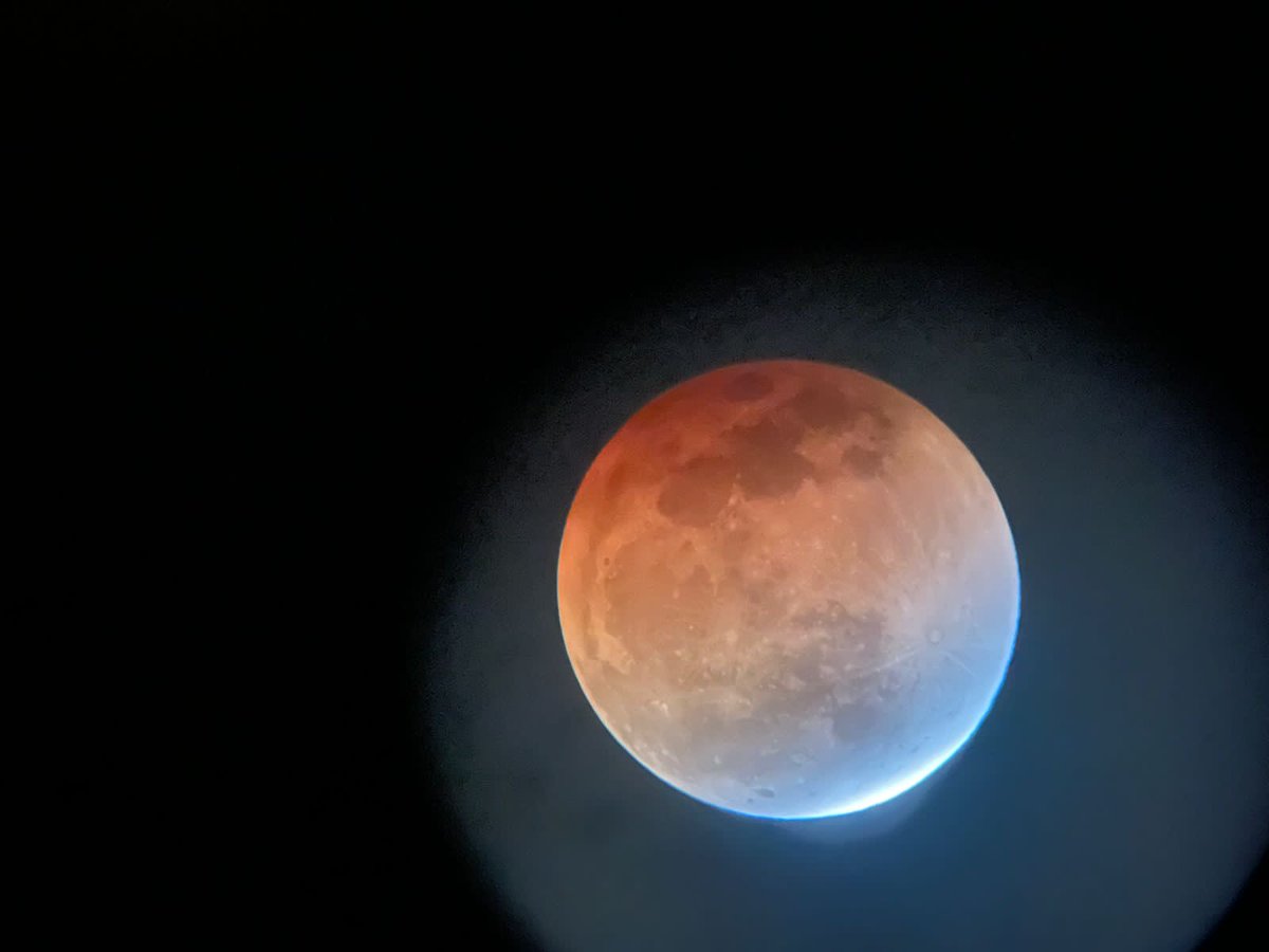 Míriam Leitão tweet media