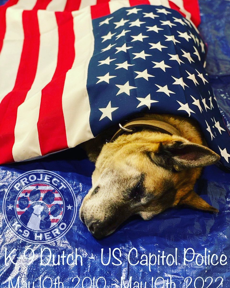 🇺🇸❤️🇺🇸 Passed on his 12th Birthday! 🇺🇸💙🇺🇸