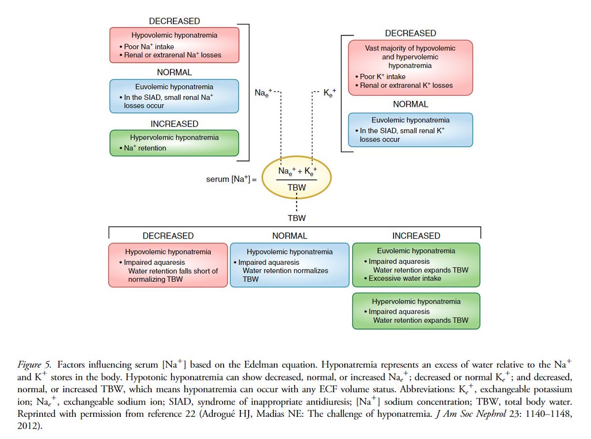 edgarvlermamd's tweet photo. Factors influencing serum sodium based on the Edelman equation #Nephpearls #NephSAP
https://t.co/Lh6RFmUDxX https://t.co/FlD6r5WaGS