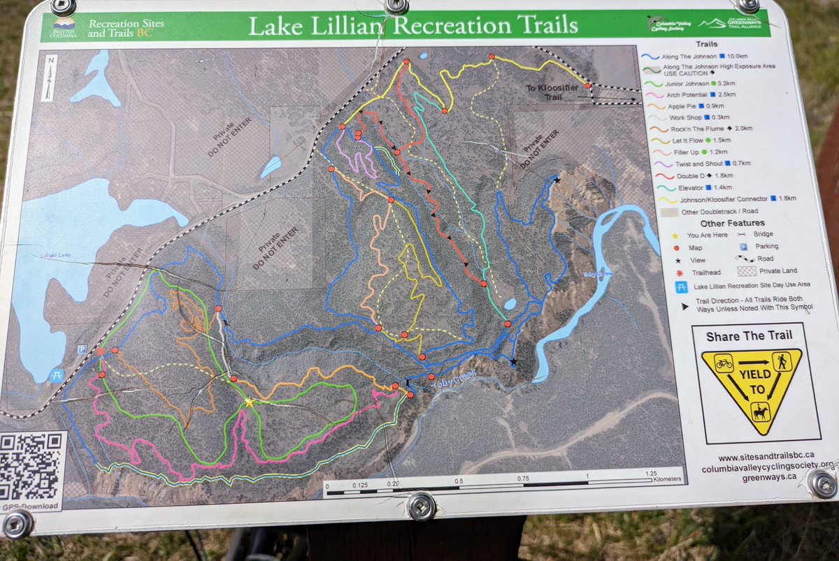 midtoad's tweet photo. Thanks to Columbia Valley Cycling Society 4 your work on the Lk Lillian trails. I rode the Junior Johnson w/my adaptive bike today. Green for bikers, but sections are blue+ For me. Recommend riding CCW. Grr Xslopes! #adaptivemtb #Quadrix https://t.co/gn2FWMRmQc