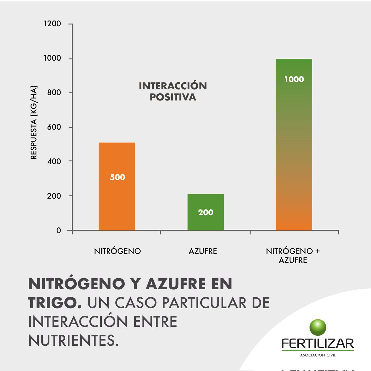FertilizarAC's tweet photo. El trigo es uno de los cultivos con mayor respuesta a la fertilización. En este trabajo, encontrarás sobre las interacciones que los distintos nutrientes pueden mostrar a campo: https://t.co/iIeAbM6MTv

Conocé cómo maximizar la eficiencia de uso de cada uno de ellos! https://t.co/CDNbxS1UKi