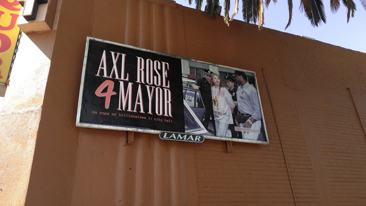 ROBIN PETERING PHD tweet media