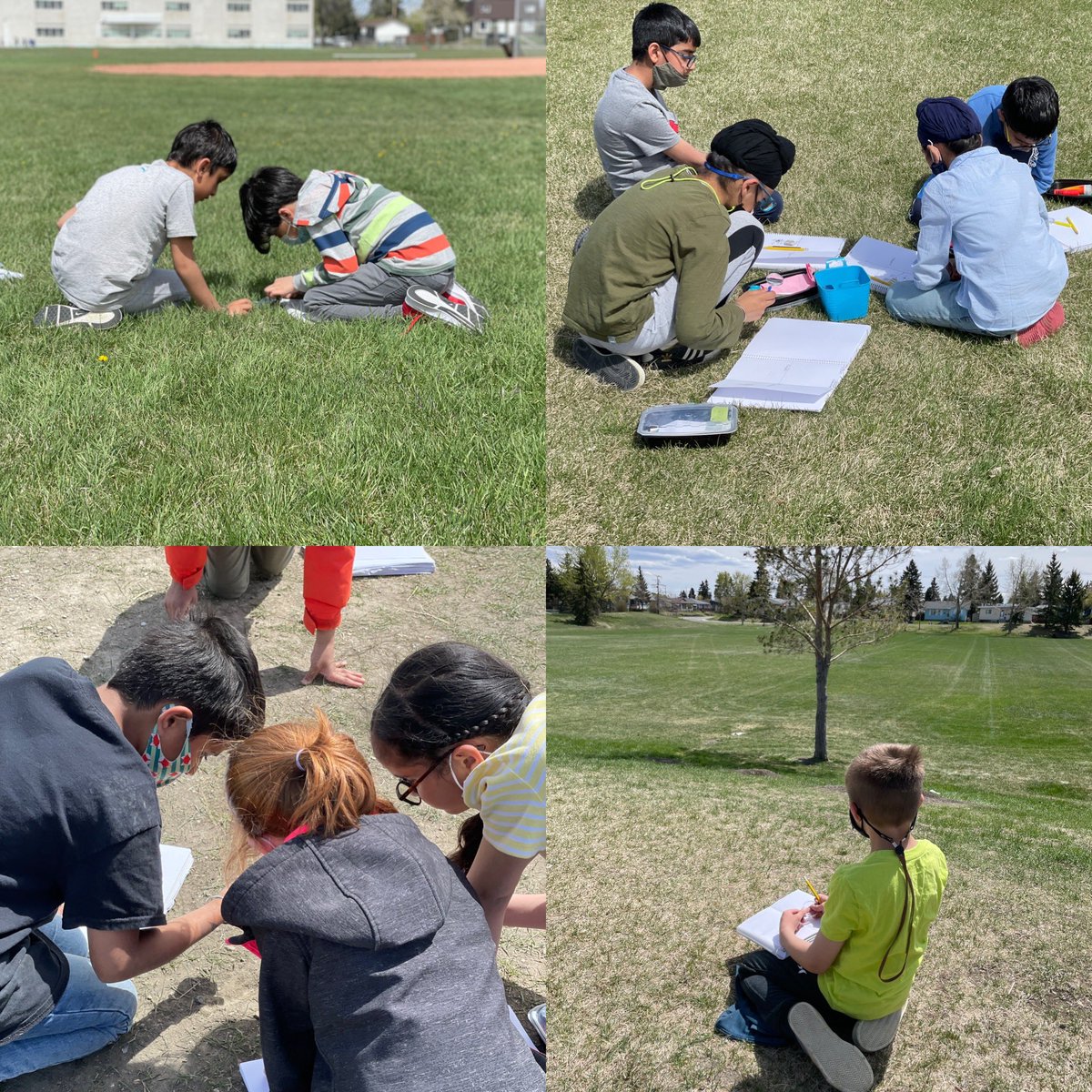 This afternoon students observed mammals, insects and birds found in our school yard. #LearningFromTheLand #CBEIndigenousEd
