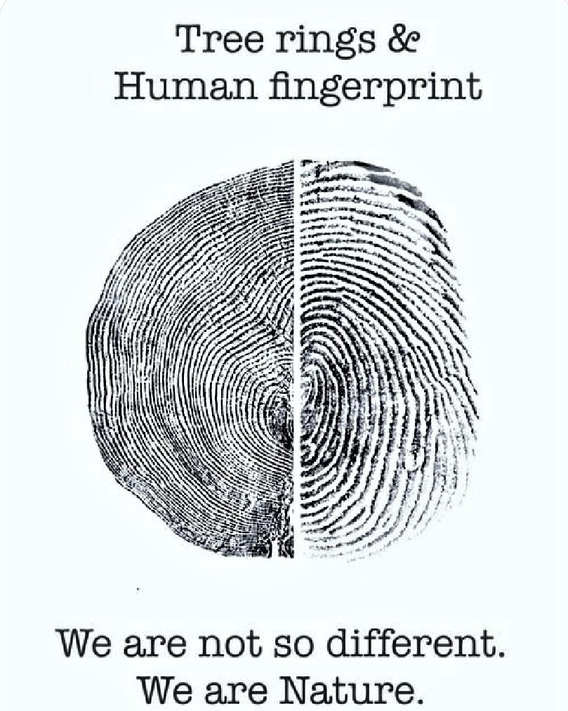 Just a gentle acknowledgement of the fact that as humans, we are part of nature...but moreover, nature is a part of us...how we perceive the natural world & our place within it, directly effects our actions & desire to protect it...#RightofNature #SentientRights #Nature