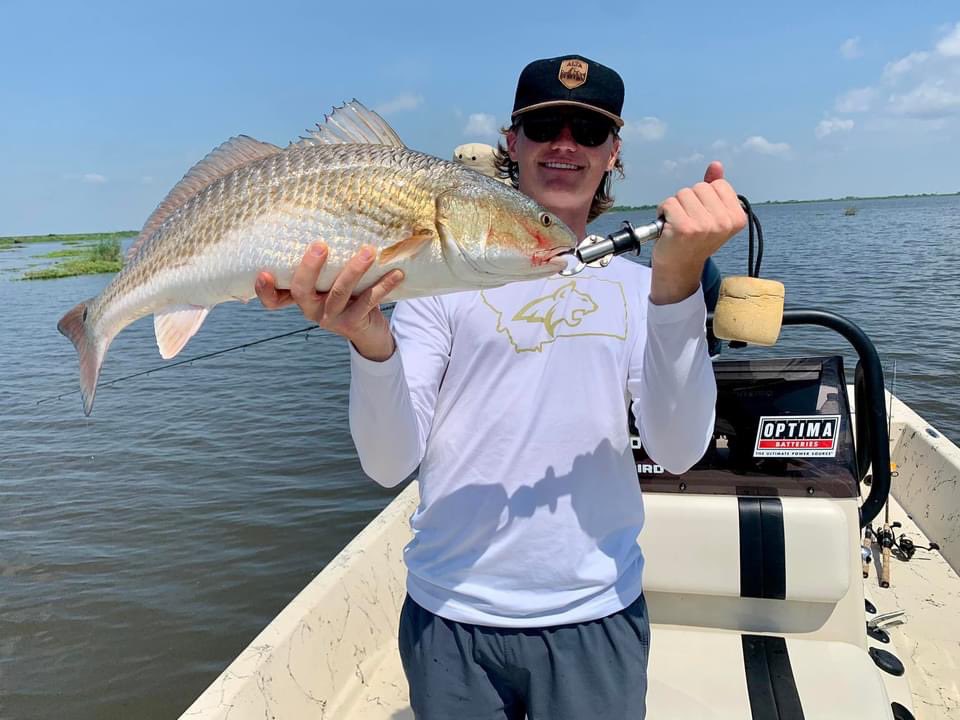 dufrenesguide's tweet photo. Montana crew on the boat and they got on an early #redfish bite and boated 18. #DufrenesGuideService #MinnKota 
#Humminbird 
#Raptor
#Solix 
#OPTIMAbatteries
#Breakline
#BomberLures #PennFishing #BerkleyFishing
#Seatow
#MinnKotaPro
#HumminbirdPro
@MinnKota
@Humminbird
#MajekBoats https://t.co/Y3Pd4LRHa6