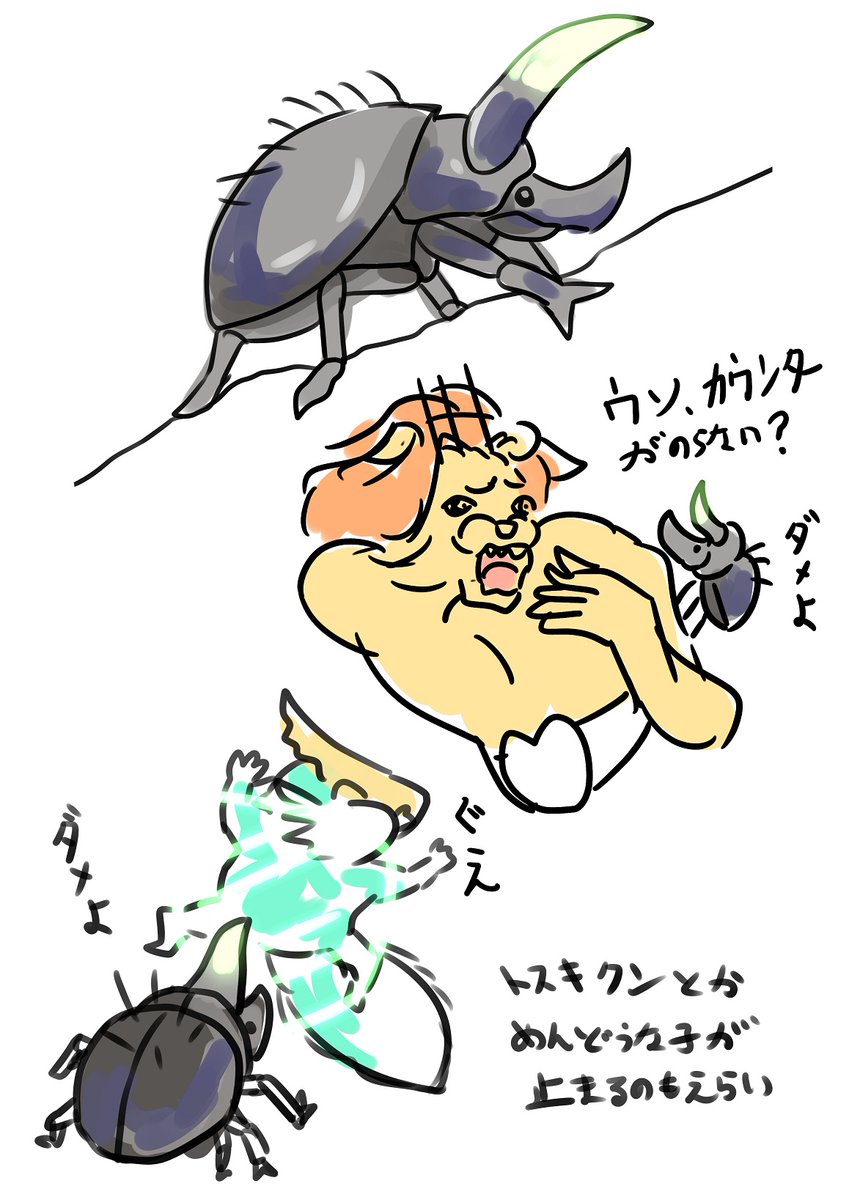 そんなこんなで最近のお気に入りは荒廃甲虫君
スタン?知らねーな 