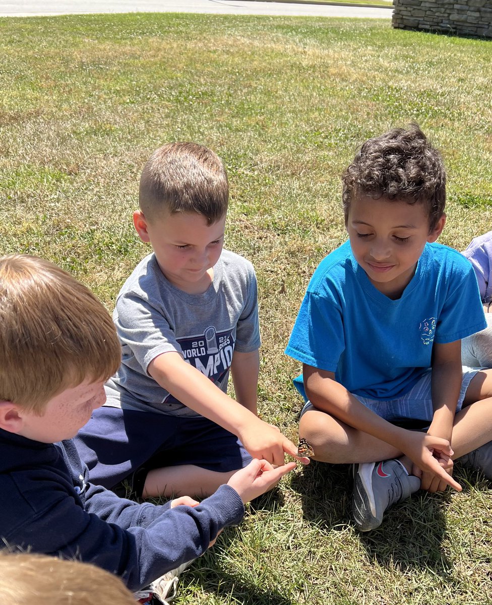 QuiatKRCE's tweet photo. We watched our caterpillars turn into butterflies! We were excited to release them! #oneRCE https://t.co/sOJ14zwRoh