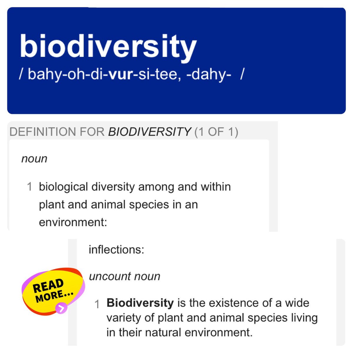 ReadAloudToMe's tweet photo. @mtsteine @CenterForBioDiv @Andy_Hafenbrack @USFWS Biodiversity is the foremost issue… https://t.co/c9qV8Rb8rp