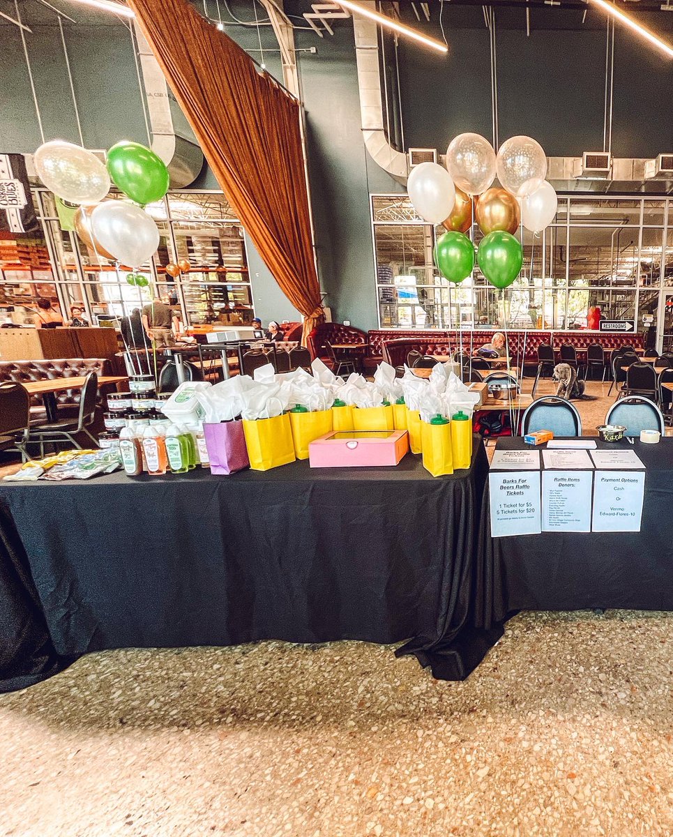 Kaxan_KXAN's tweet photo. Best Rescue Day Party EVER! 🎉 We had about 200 people in attendance, 60+ pups, raised $700 from our raffle sales for @divinecanines, and my former @austindogrescue foster sis, Pam Beesly came and gave me kisses. 💚🖤🐶 Thank you to all who attended https://t.co/IFiDDem7zi