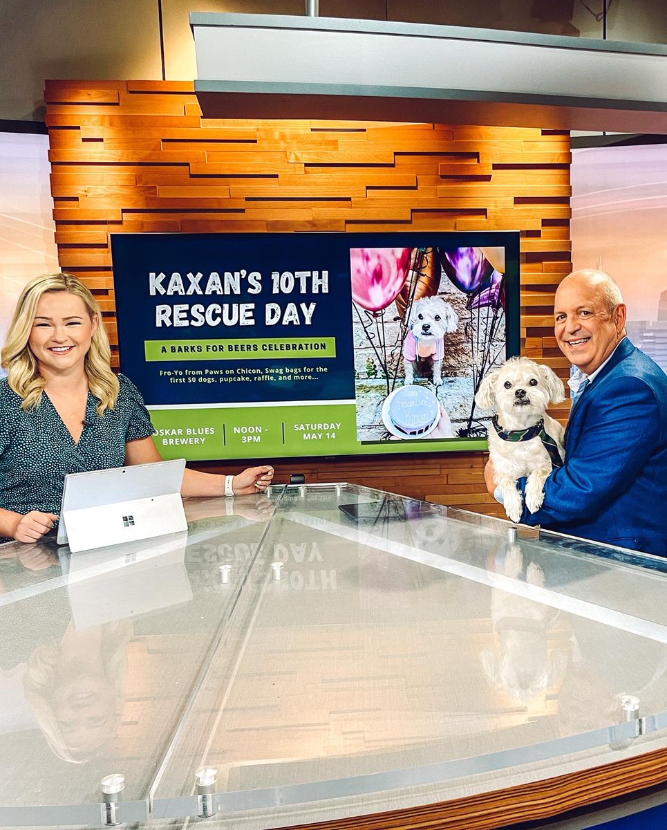 Kaxan_KXAN's tweet photo. Best Rescue Day Party EVER! 🎉 We had about 200 people in attendance, 60+ pups, raised $700 from our raffle sales for @divinecanines, and my former @austindogrescue foster sis, Pam Beesly came and gave me kisses. 💚🖤🐶 Thank you to all who attended https://t.co/IFiDDem7zi