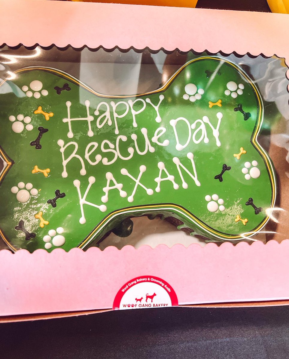 Kaxan_KXAN's tweet photo. Best Rescue Day Party EVER! 🎉 We had about 200 people in attendance, 60+ pups, raised $700 from our raffle sales for @divinecanines, and my former @austindogrescue foster sis, Pam Beesly came and gave me kisses. 💚🖤🐶 Thank you to all who attended https://t.co/IFiDDem7zi